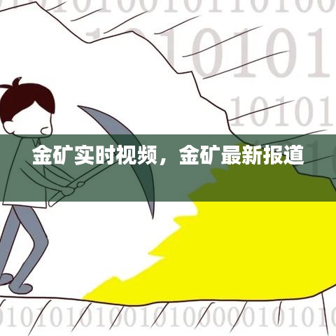 金矿实时视频,金矿最新报道