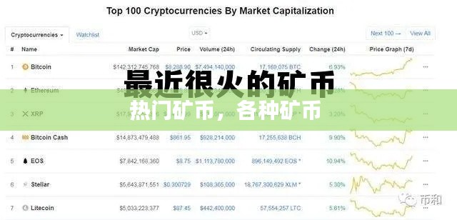 热门矿币，各种矿币 