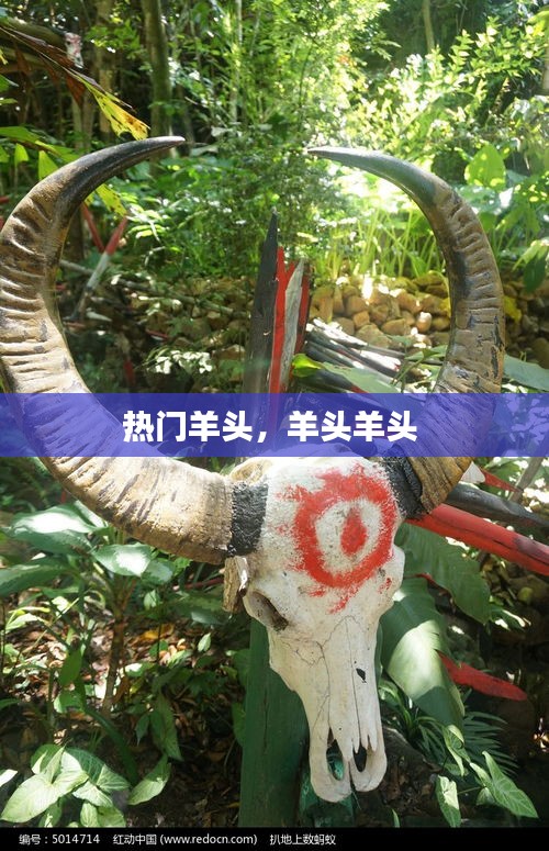 热门羊头，羊头羊头 