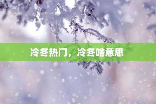 冷冬热门,冷冬啥意思