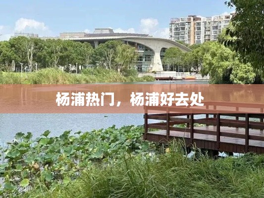 杨浦热门,杨浦好去处