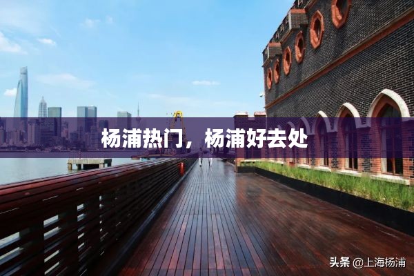 杨浦热门,杨浦好去处