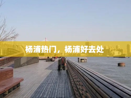 杨浦热门,杨浦好去处
