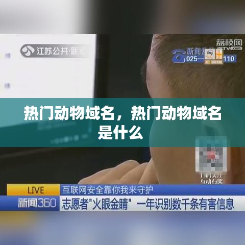 热门动物域名,热门动物域名是什么