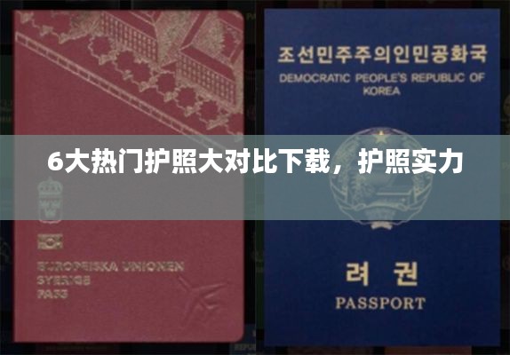 6大热门护照大对比下载,护照实力