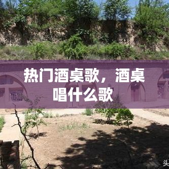 热门酒桌歌,酒桌唱什么歌