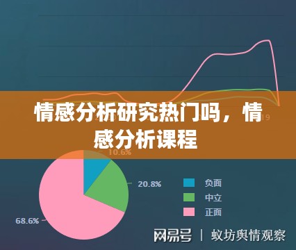 情感分析研究热门吗,情感分析课程