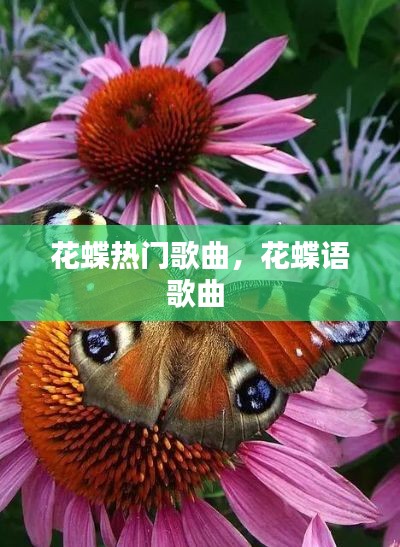 花蝶热门歌曲，花蝶语歌曲 