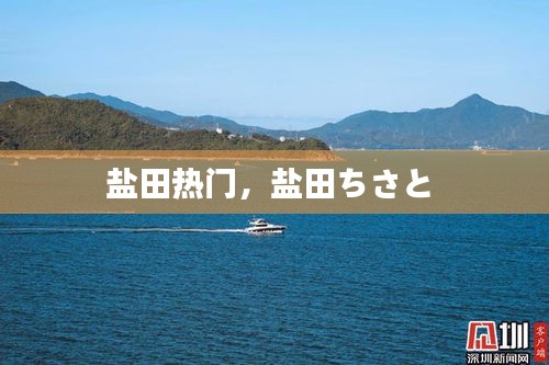 盐田热门,盐田ちさと