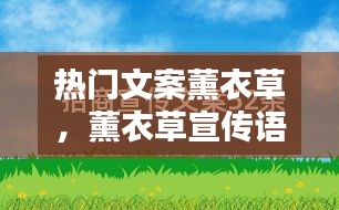 热门文案薰衣草,薰衣草宣传语