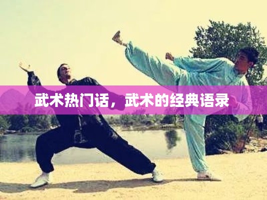 武术热门话，武术的经典语录 