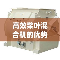 高效桨叶混合机的优势及广泛应用实践