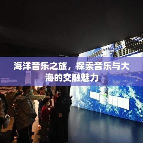 海洋音乐之旅，探索音乐与大海的交融魅力
