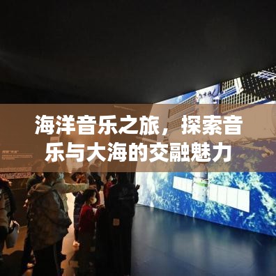 海洋音乐之旅,探索音乐与大海的交融魅力