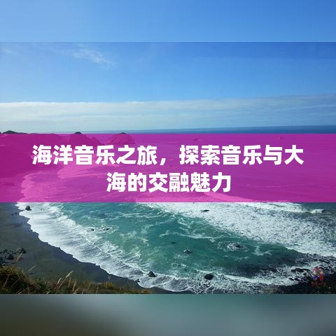 海洋音乐之旅,探索音乐与大海的交融魅力