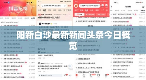 阳新白沙最新新闻头条今日概览