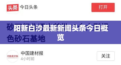 阳新白沙最新新闻头条今日概览