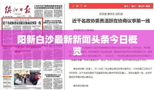阳新白沙最新新闻头条今日概览