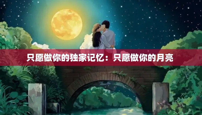 只愿做你的独家记忆:只愿做你的月亮