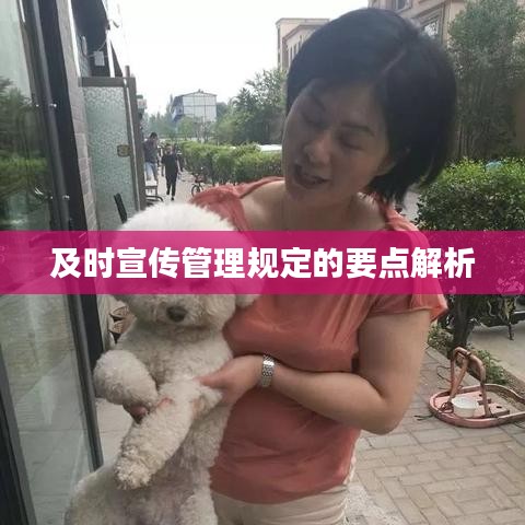 及时宣传管理规定的要点解析