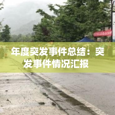 年度突发事件总结：突发事件情况汇报 