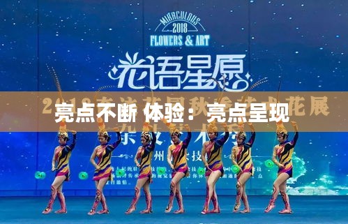 亮点不断 体验:亮点呈现