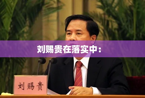 刘赐贵在落实中: