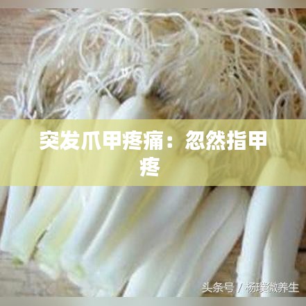 突发爪甲疼痛:忽然指甲疼