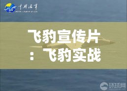 飞豹宣传片:飞豹实战画面