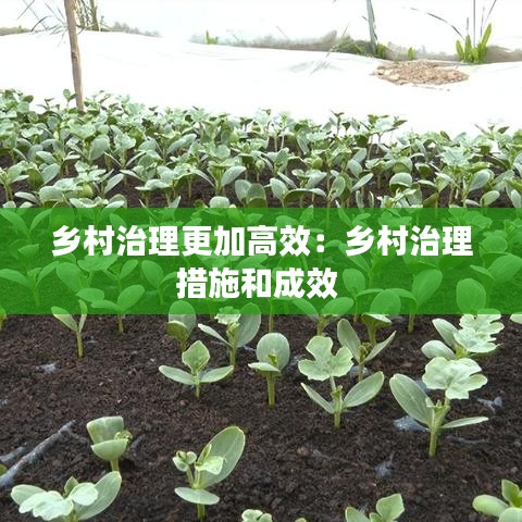 乡村治理更加高效:乡村治理措施和成效