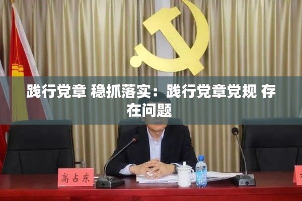 践行党章 稳抓落实:践行党章党规 存在问题