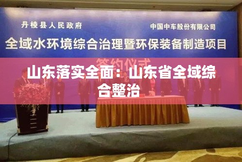 山东落实全面：山东省全域综合整治 