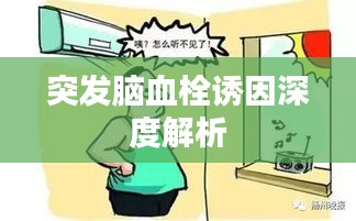 突发脑血栓诱因深度解析