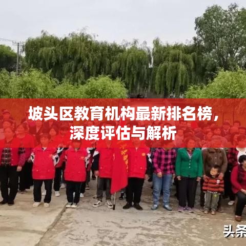 坡头区教育机构最新排名榜，深度评估与解析