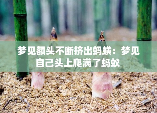 梦见额头不断挤出蚂蟥:梦见自己头上爬满了蚂蚁