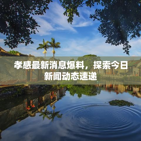 孝感最新消息爆料,探索今日新闻动态速递