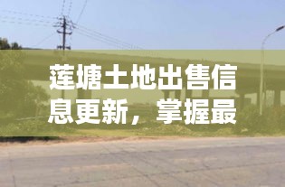 莲塘土地出售信息更新，掌握最新动态，一键查询