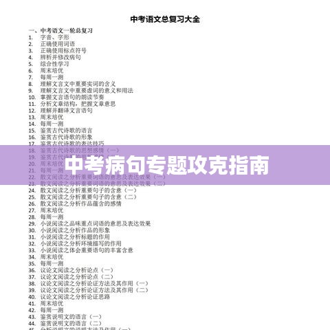 中考病句专题攻克指南