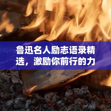 鲁迅名人励志语录精选,激励你前行的力量