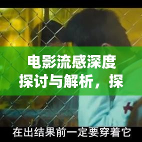 电影流感深度探讨与解析，探究其背后的故事与意义