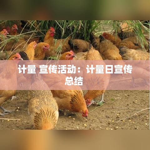 计量 宣传活动:计量日宣传总结