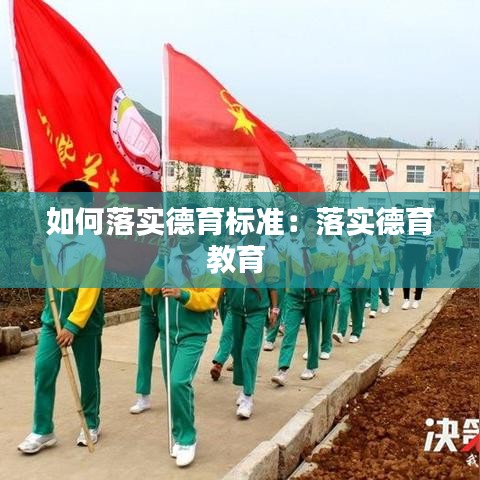 如何落实德育标准：落实德育教育 