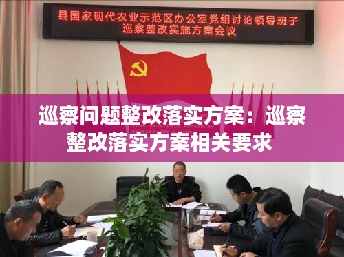 巡察问题整改落实方案：巡察整改落实方案相关要求 