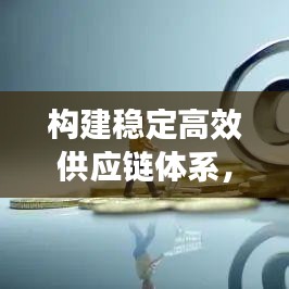 构建稳定高效供应链体系,规范供应,助力企业腾飞
