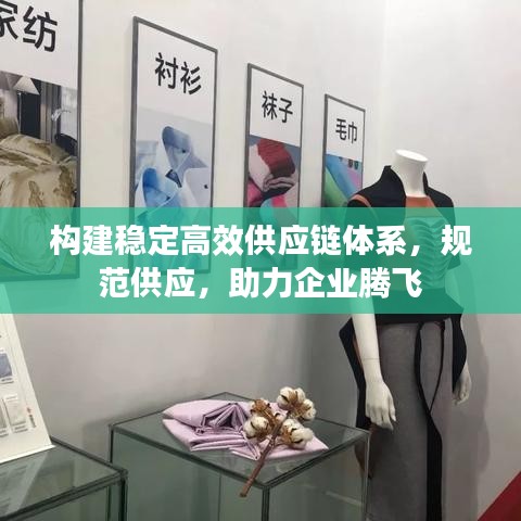 构建稳定高效供应链体系,规范供应,助力企业腾飞
