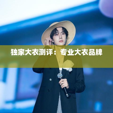 独家大衣测评：专业大衣品牌 