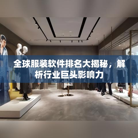 全球服装软件排名大揭秘,解析行业巨头影响力