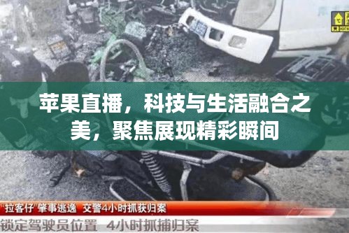 苹果直播，科技与生活融合之美，聚焦展现精彩瞬间