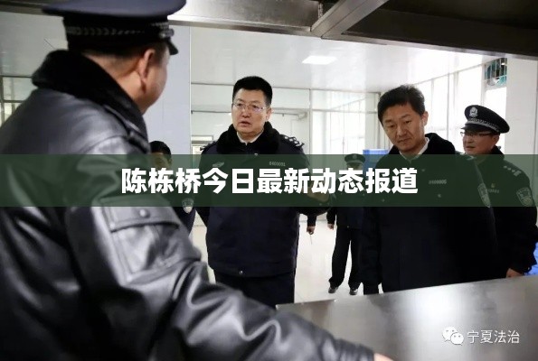 陈栋桥今日最新动态报道