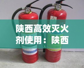 陕西高效灭火剂使用:陕西干粉灭火器